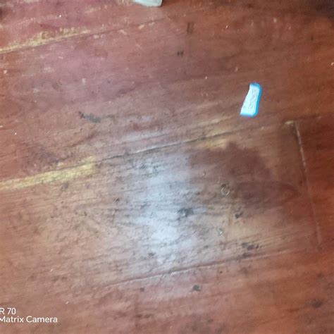 登录器 乐鱼平台